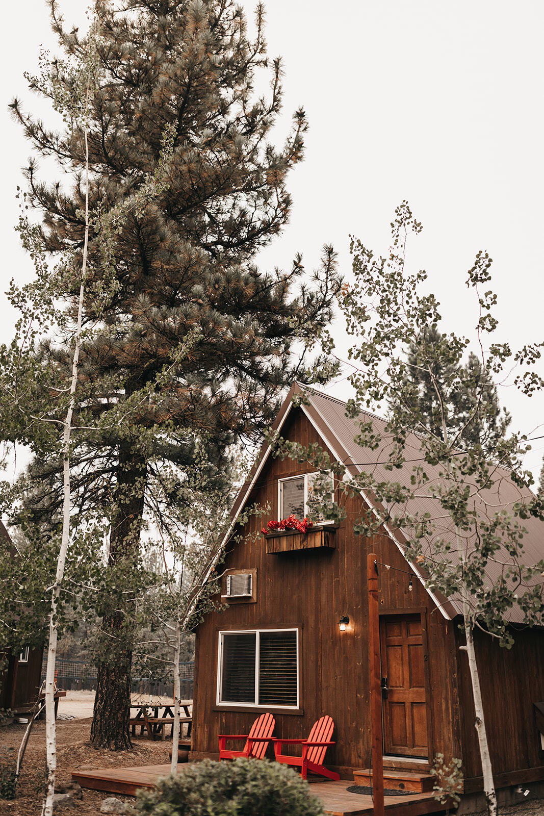 A-frame cabin under the pines at Chalet View Lodge